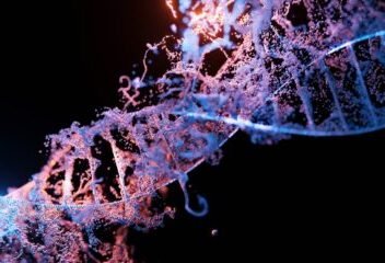 a close up of a blue and purple structure
