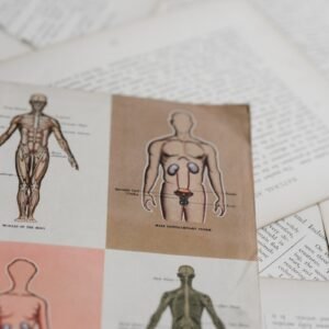 shallow focus photo of book page